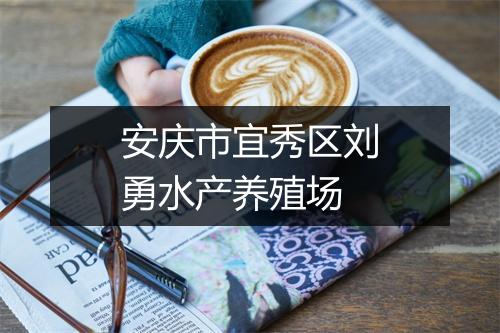 安庆市宜秀区刘勇水产养殖场