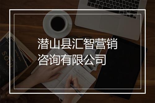 潜山县汇智营销咨询有限公司