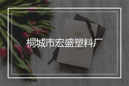 桐城市宏盛塑料厂