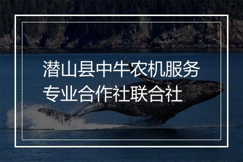 潜山县中牛农机服务专业合作社联合社