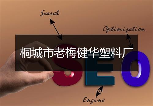 桐城市老梅健华塑料厂