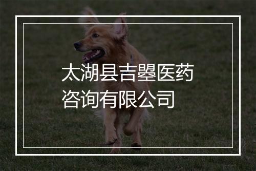 太湖县吉曌医药咨询有限公司