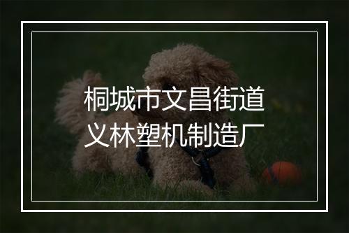 桐城市文昌街道义林塑机制造厂