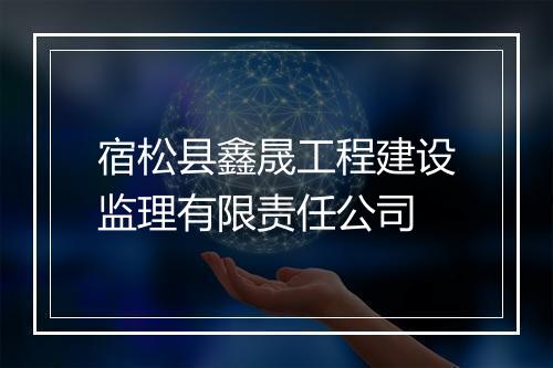 宿松县鑫晟工程建设监理有限责任公司
