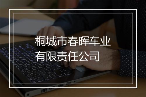 桐城市春晖车业有限责任公司