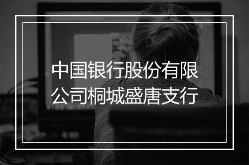 中国银行股份有限公司桐城盛唐支行