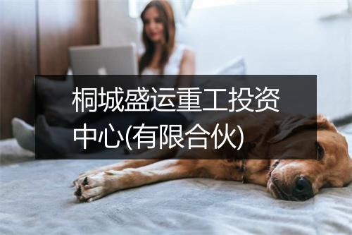 桐城盛运重工投资中心(有限合伙)