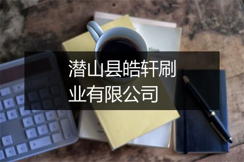 潜山县皓轩刷业有限公司