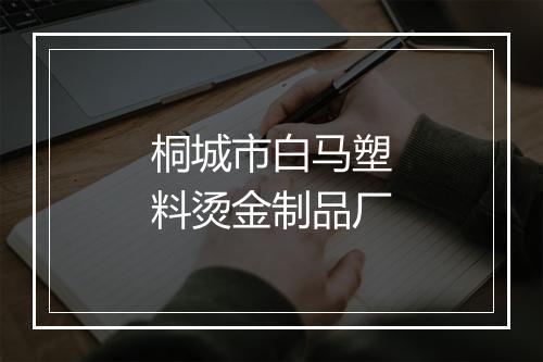 桐城市白马塑料烫金制品厂