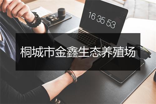 桐城市金鑫生态养殖场