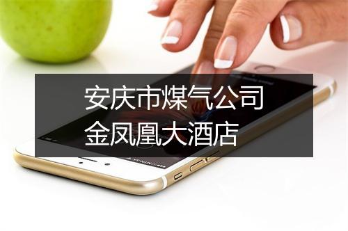 安庆市煤气公司金凤凰大酒店