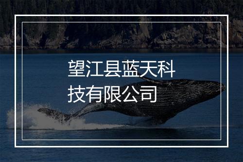 望江县蓝天科技有限公司