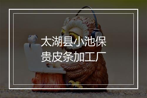 太湖县小池保贵皮条加工厂