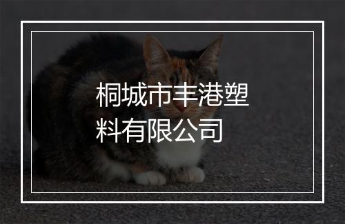 桐城市丰港塑料有限公司