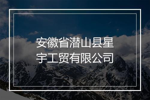 安徽省潜山县星宇工贸有限公司