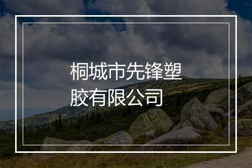 桐城市先锋塑胶有限公司