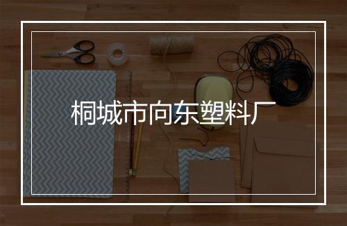 桐城市向东塑料厂