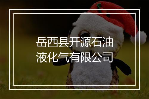岳西县开源石油液化气有限公司