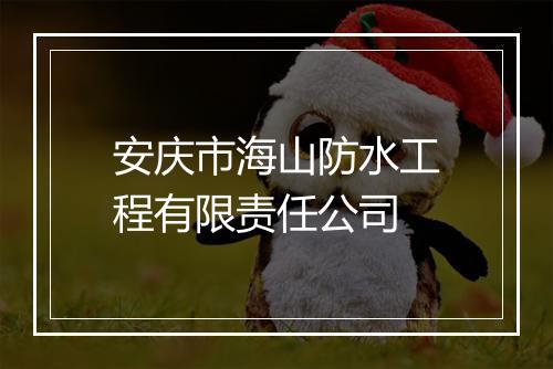 安庆市海山防水工程有限责任公司