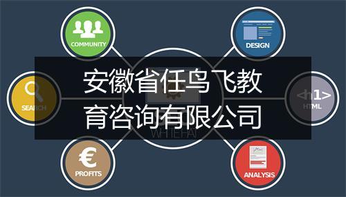 安徽省任鸟飞教育咨询有限公司