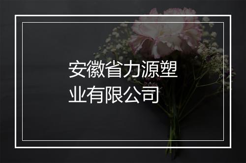 安徽省力源塑业有限公司