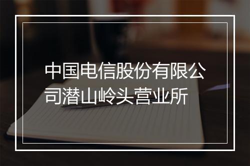 中国电信股份有限公司潜山岭头营业所