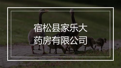 宿松县家乐大药房有限公司