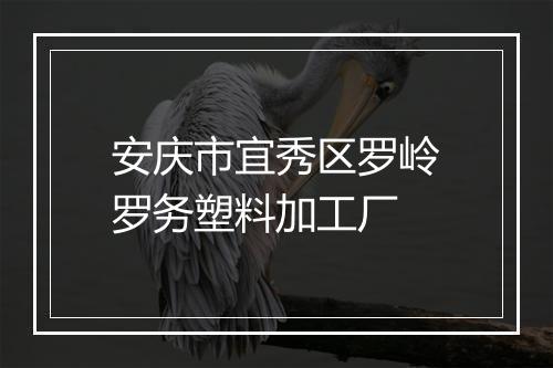 安庆市宜秀区罗岭罗务塑料加工厂