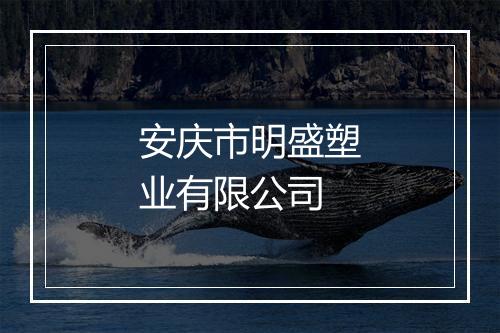 安庆市明盛塑业有限公司