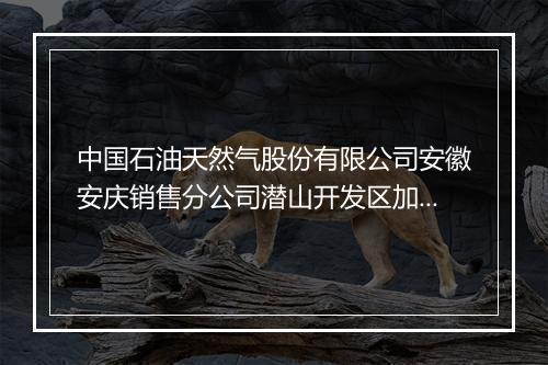 中国石油天然气股份有限公司安徽安庆销售分公司潜山开发区加油站