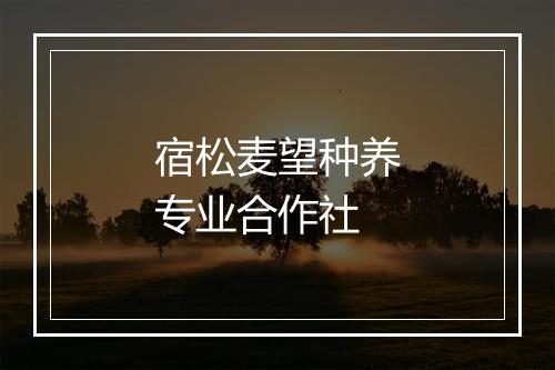 宿松麦望种养专业合作社