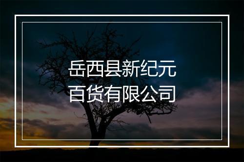 岳西县新纪元百货有限公司