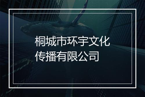 桐城市环宇文化传播有限公司