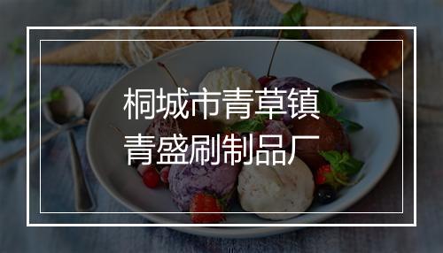 桐城市青草镇青盛刷制品厂