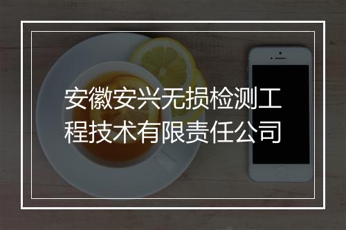 安徽安兴无损检测工程技术有限责任公司