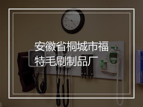 安徽省桐城市福特毛刷制品厂
