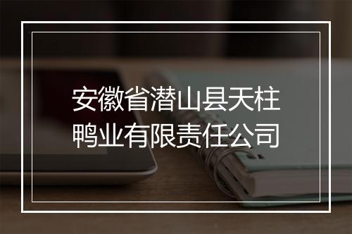安徽省潜山县天柱鸭业有限责任公司