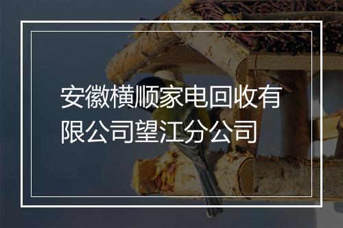 安徽横顺家电回收有限公司望江分公司
