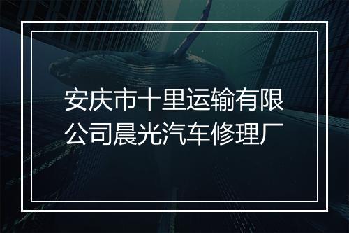 安庆市十里运输有限公司晨光汽车修理厂