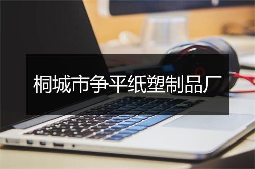 桐城市争平纸塑制品厂
