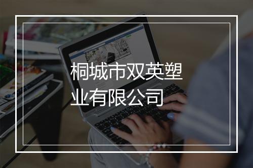 桐城市双英塑业有限公司