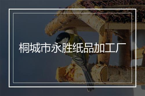桐城市永胜纸品加工厂