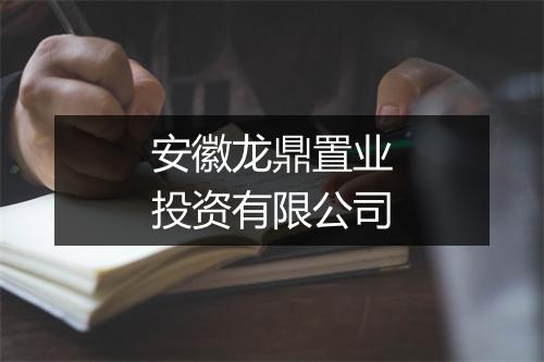 安徽龙鼎置业投资有限公司