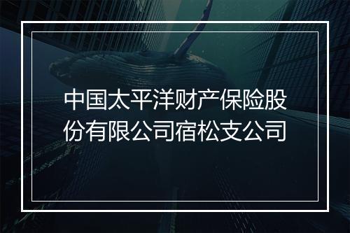 中国太平洋财产保险股份有限公司宿松支公司