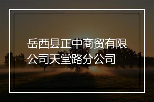 岳西县正中商贸有限公司天堂路分公司