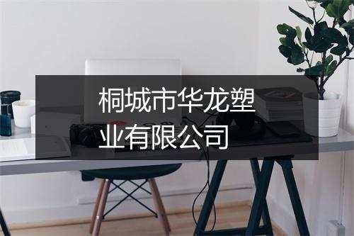 桐城市华龙塑业有限公司