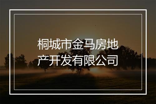 桐城市金马房地产开发有限公司