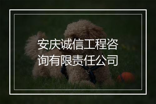 安庆诚信工程咨询有限责任公司