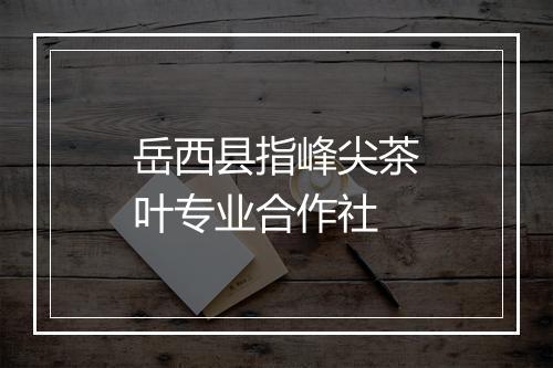 岳西县指峰尖茶叶专业合作社