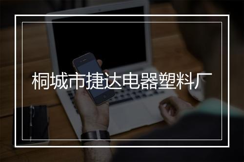 桐城市捷达电器塑料厂